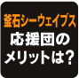 釜石シーウェイブス 応援団のメリットは?